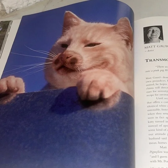 Colorful Vintage Cat Art Print Book Home Decor “Why Paint Cats” - Picture 6 of 15